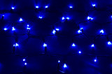    LED RCLS-2x1,5-24string blue