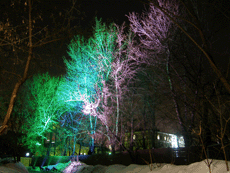Подсветка деревьев