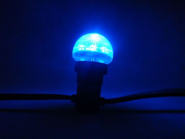   DLBM 3000MCD E27 24V 15LED blue